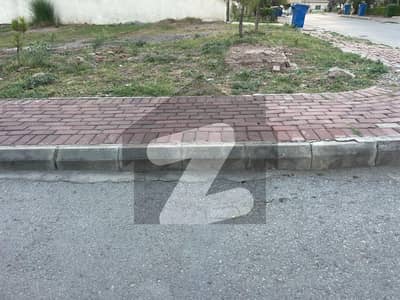 STREET