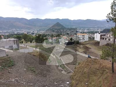 10 Marla Plot For Sale At Biliqas Town
