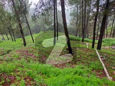 1 Kanal Plot Available For Sale At Khatwal Thandiani Abbottabad