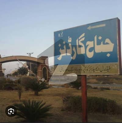 جناح