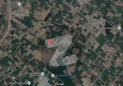 56 Kanal Land For Sale On Prime Location In Kasur With Direct Access Of Main Road For Sale