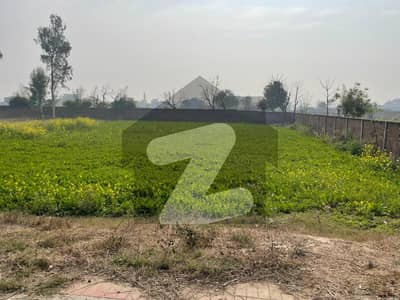 4 Kanal Farm House land Availabel For Sale At the top of location Bedian Road Near To heir Moza Tatla.