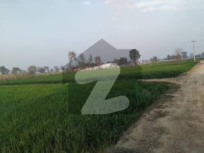 بیدیاں