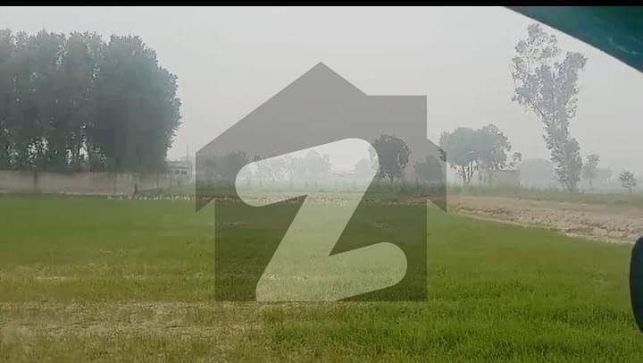 Fertile 8 Kanal Agricultural Land Available On Bedian Road Fertile 8 Kanal Agricultural Land Available On Bedian Road