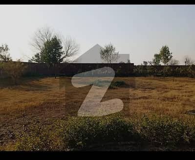 Good Location 13 Kanal Farm House Land For Sale On Bedian Road