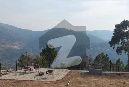 مری