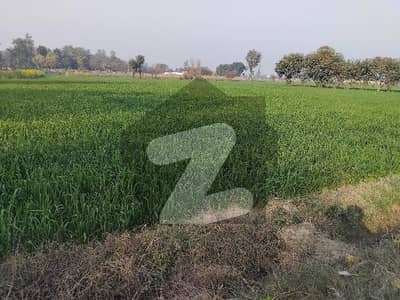بیدیاں