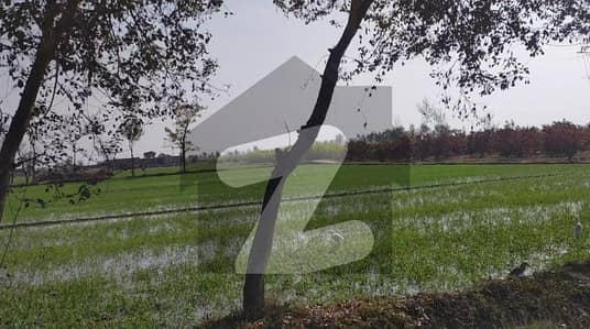 20, Marla Industrial Plot At 209 Chak Jaranwala Road Faisalabad