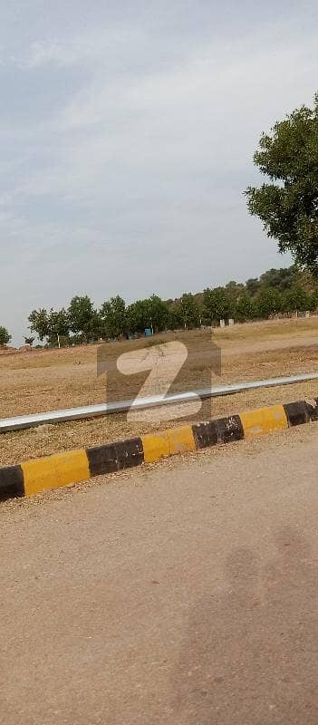 ڈی