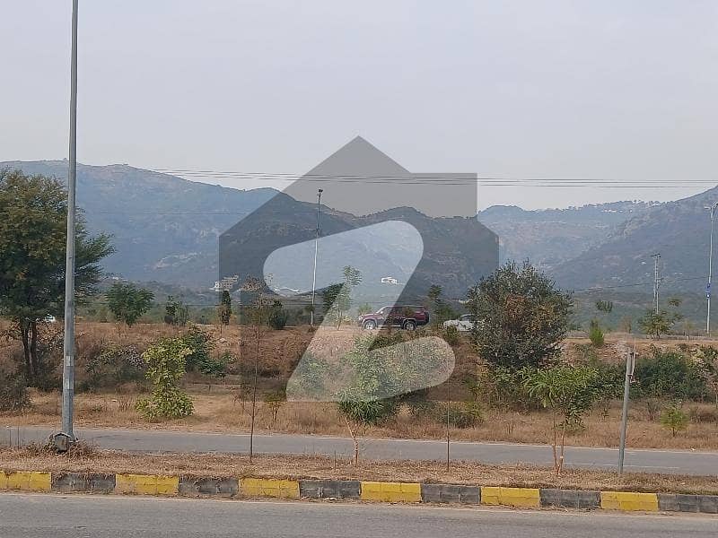D12/2 600 Sq Yd Corner Plot Investor Price D12/2 600 Sq Yd Corner Plot Investor Price