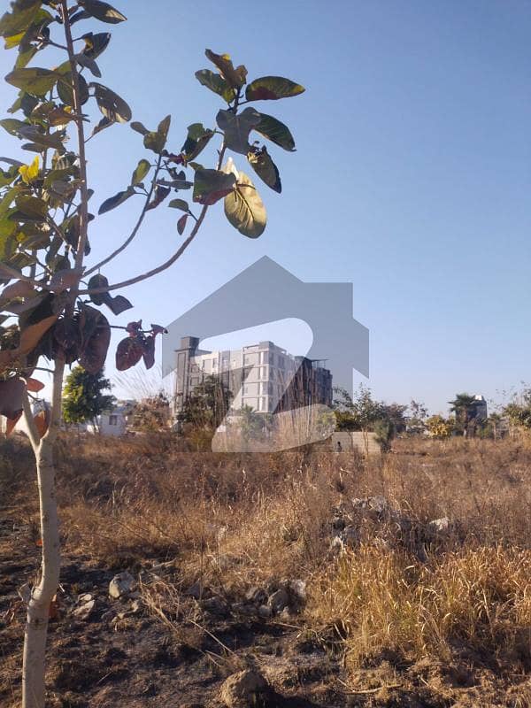 Commercial Plot For Sale Zamar Valley Islamabad