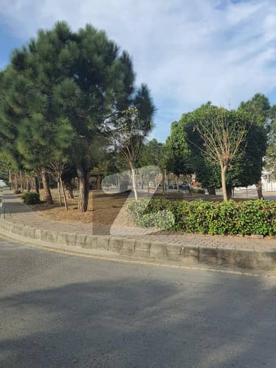 Road