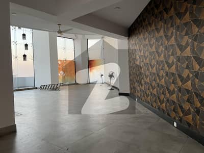 Luxury Apartment Like Bungalow For Rent