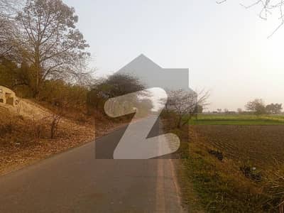 Bedian Road Commercial Plot For Sale Prime Location Carpet ROAD