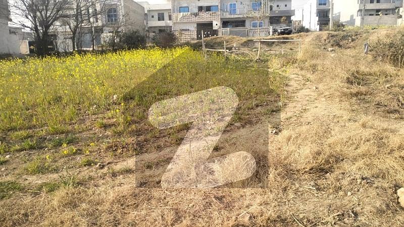 Residential Plot For Sale In I-14/1 Islamabad Residential Plot For Sale In I-14/1 Islamabad