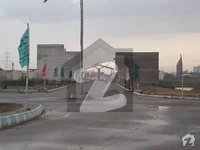 پیر