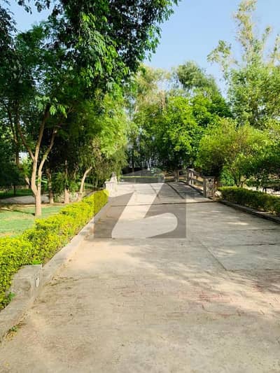 2 Kanal Super Hot Ideal Location Farm House Land For Sale On Main Bedian Road