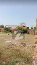 9 9