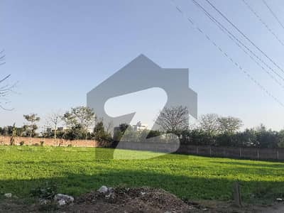 الکازر