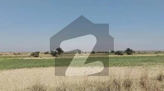 Agricultural Fertile Land