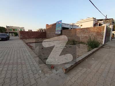 نیو