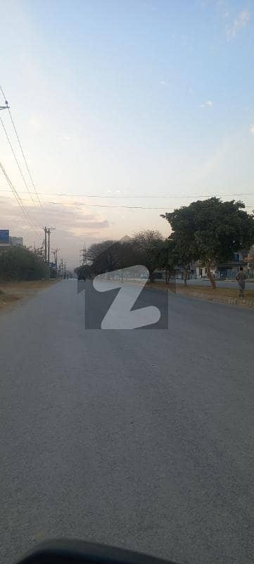 Investor Rate Plot For Sale