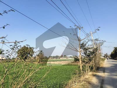 برکی