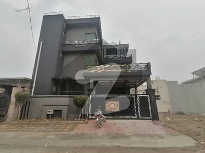 صنوبر