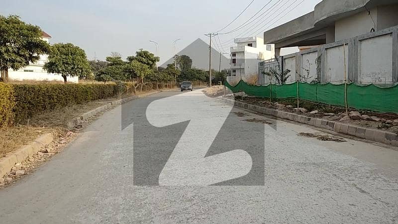 Level Plot Minimum Price Market Level Plot Minimum Price Market