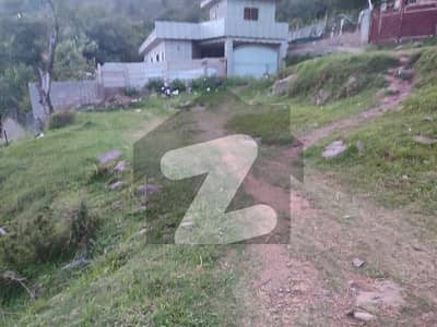 مری