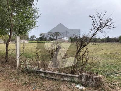 بیدیاں