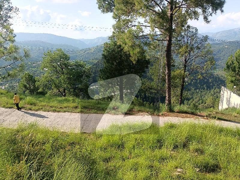 20 Kanal Plot For Sale In Pir Sohawa Islamabad