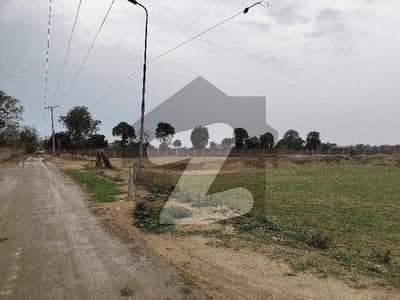 بیدیاں