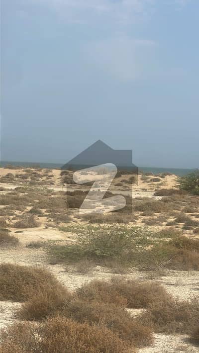 موضع