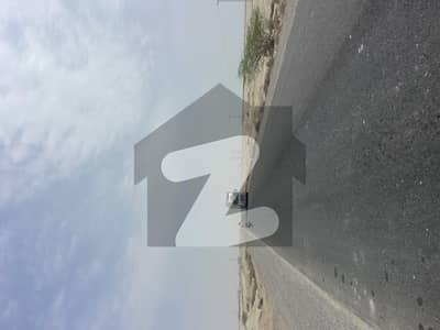 costal highway front