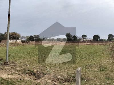 برکی