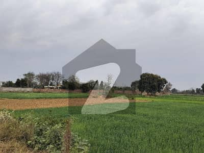 بیدیاں