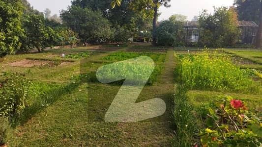 CDA Sector D12 Islamabad 4 Marla Plot Available For Sale Beautiful Location Margalla View Near Masque & Market CDA Sector D12 Islamabad 4 Marla Plot Available For Sale Beautiful Location Margalla View Near Masque & Market