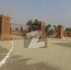 پی