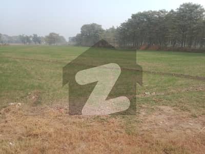 بیدیاں روڈ لاہور میں 800 کنال زرعی زمین 14.9 ارب میں برائے فروخت۔