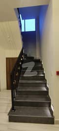 20 