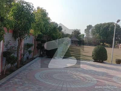 برکی