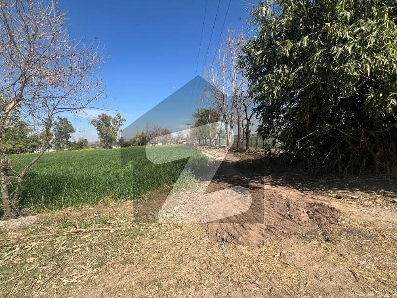 80 Kanal Farm Land For Sale In Sihala, Islamabad 80 Kanal Farm Land For Sale In Sihala, Islamabad