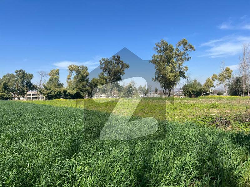 80 Kanal agricultural land for sale In Sihala, Islamabad