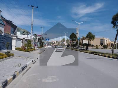 نیو