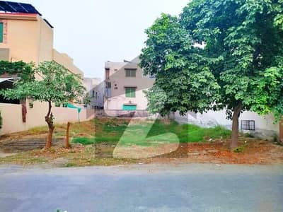 ویلینشیاء
