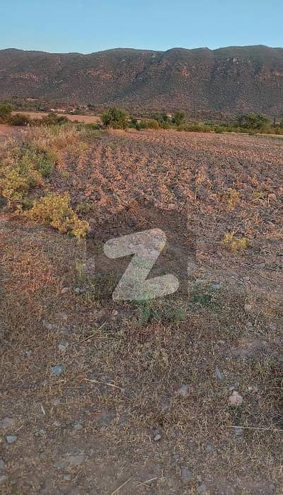73