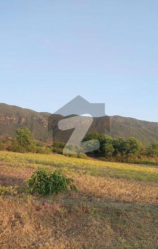 74 Kanal Land Near New International Airport Islamabad 74 Kanal Land Near New International Airport Islamabad