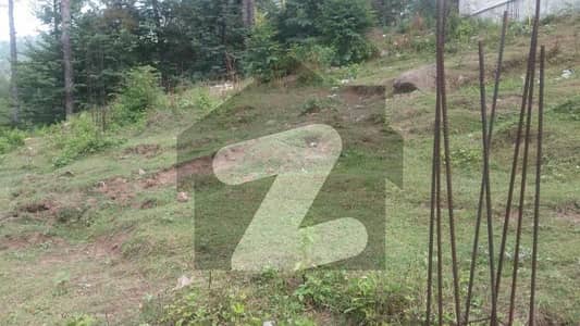 9 Marla plot near Tdcp patriata for sale