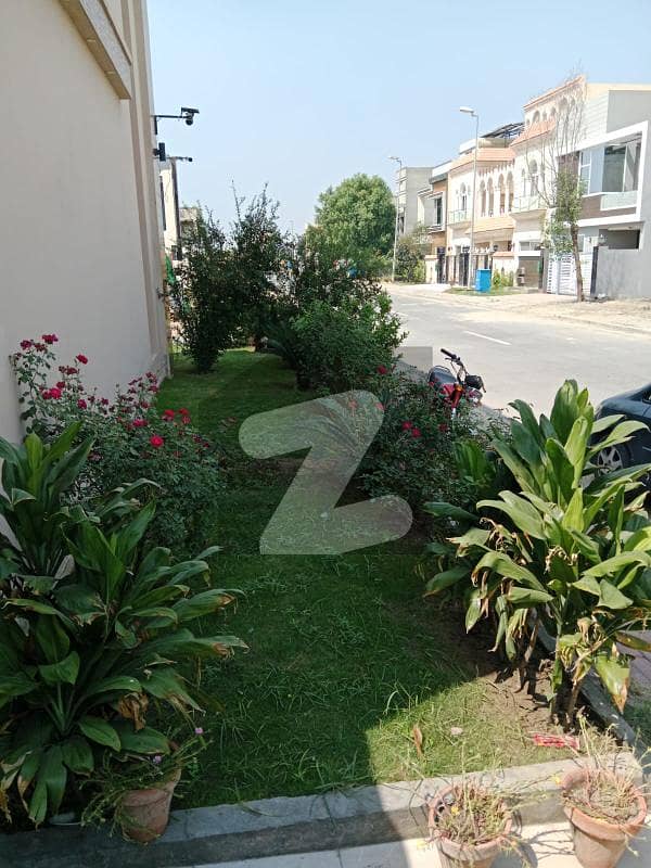 21 